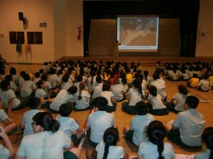 Farrier Park Talk